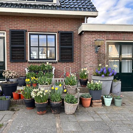 Flowerbed Voorhout Esterno foto