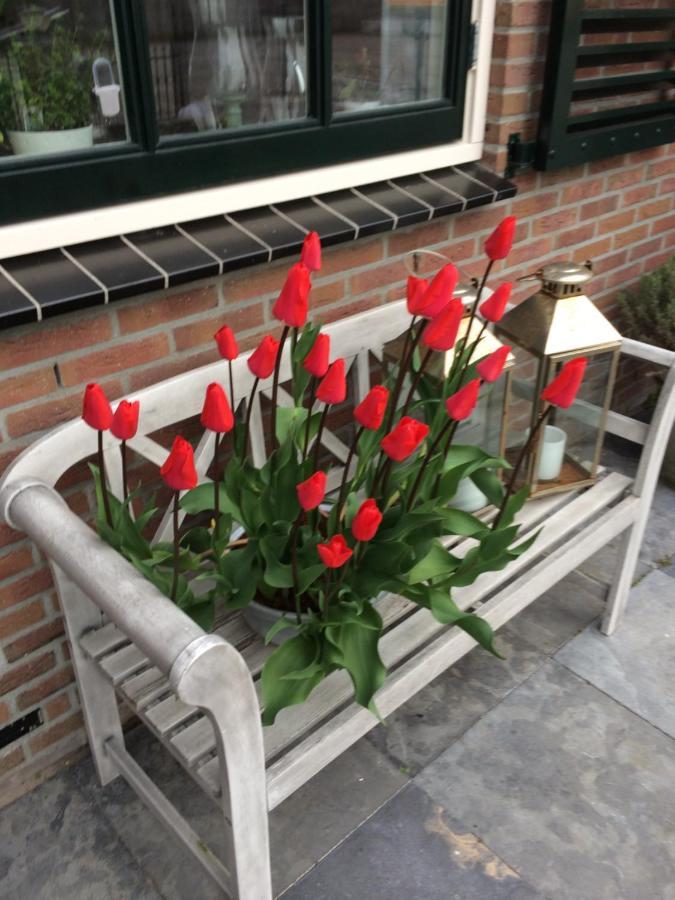 Flowerbed Voorhout Esterno foto