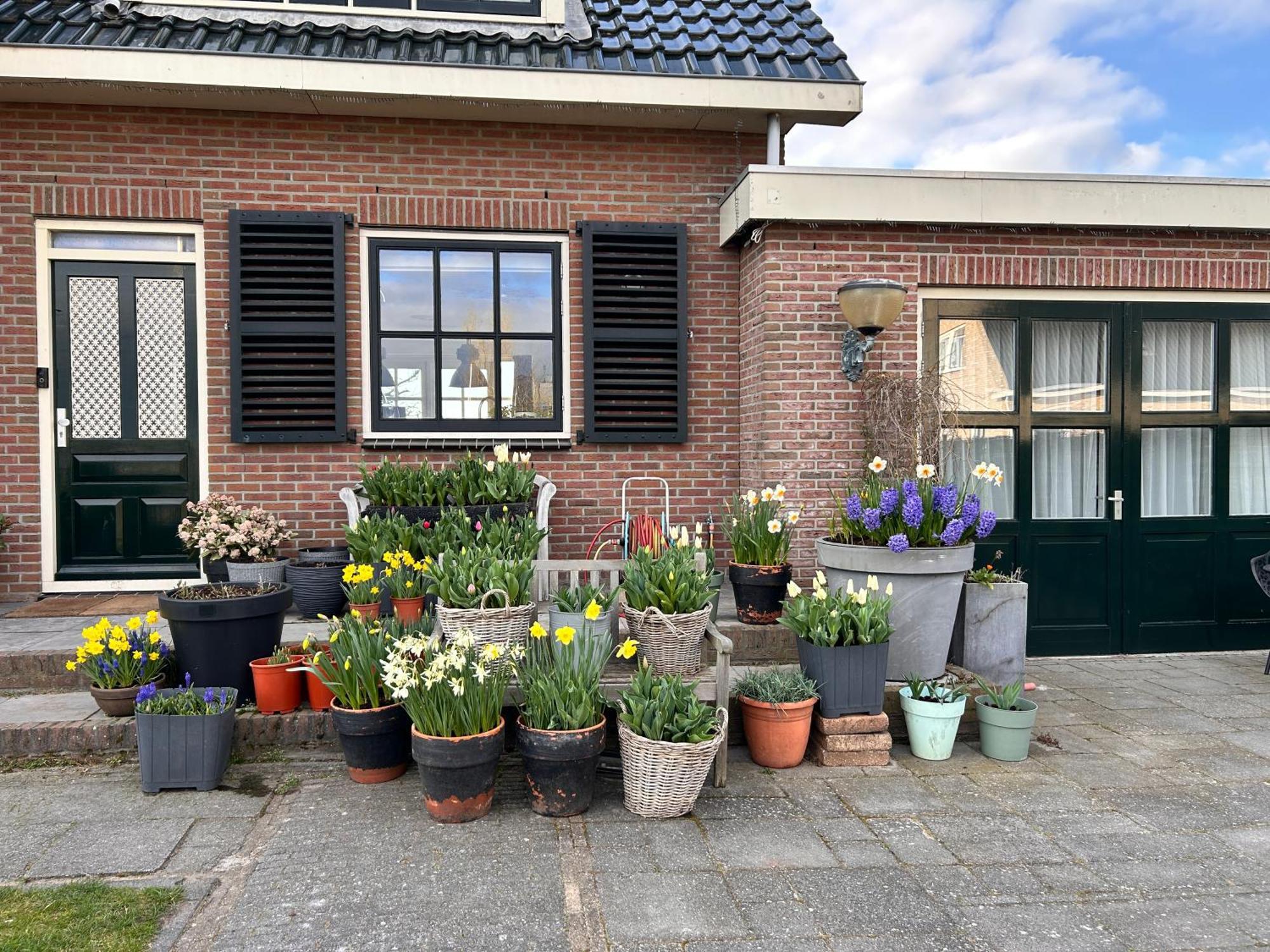 Flowerbed Voorhout Esterno foto