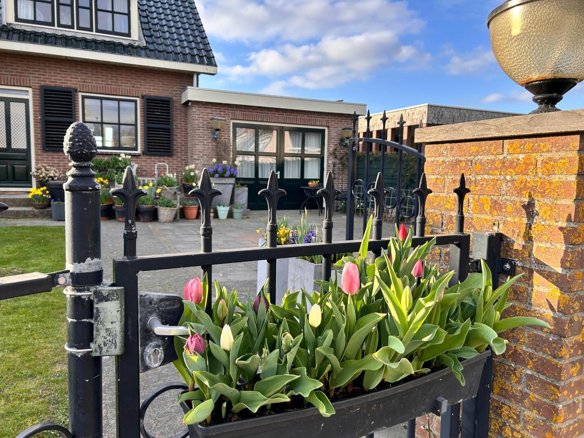 Flowerbed Voorhout Esterno foto